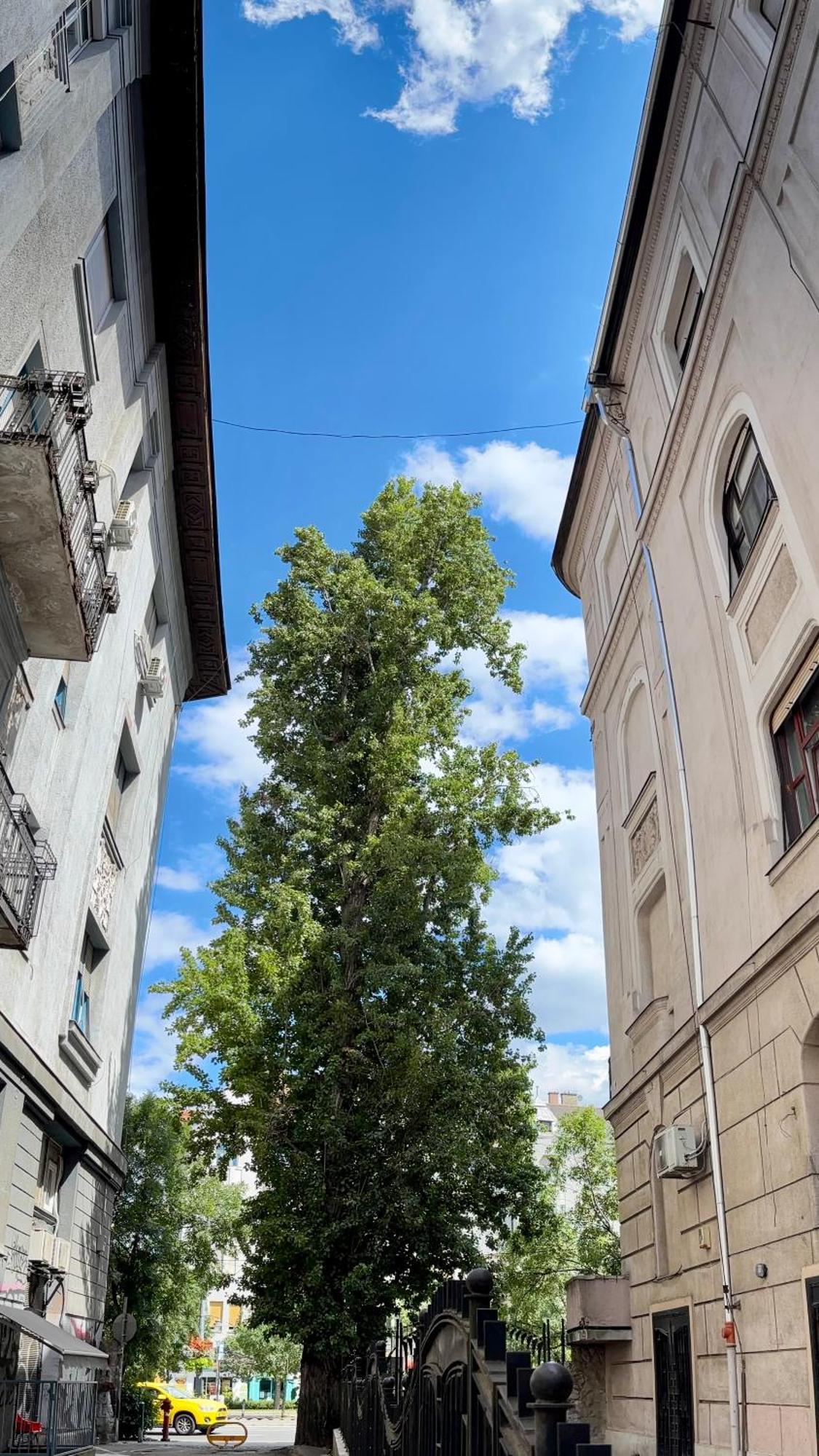 Gellert Square Family - Premium In Buda Side's Cultural Center Appartamento