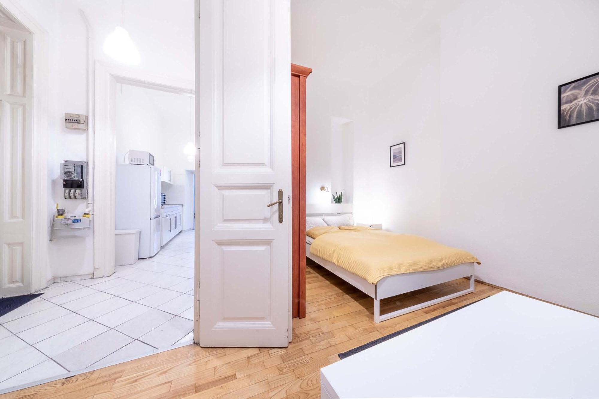 Ergola - Spacious Cozy 2 Big Downtown Apartament Budapeszt