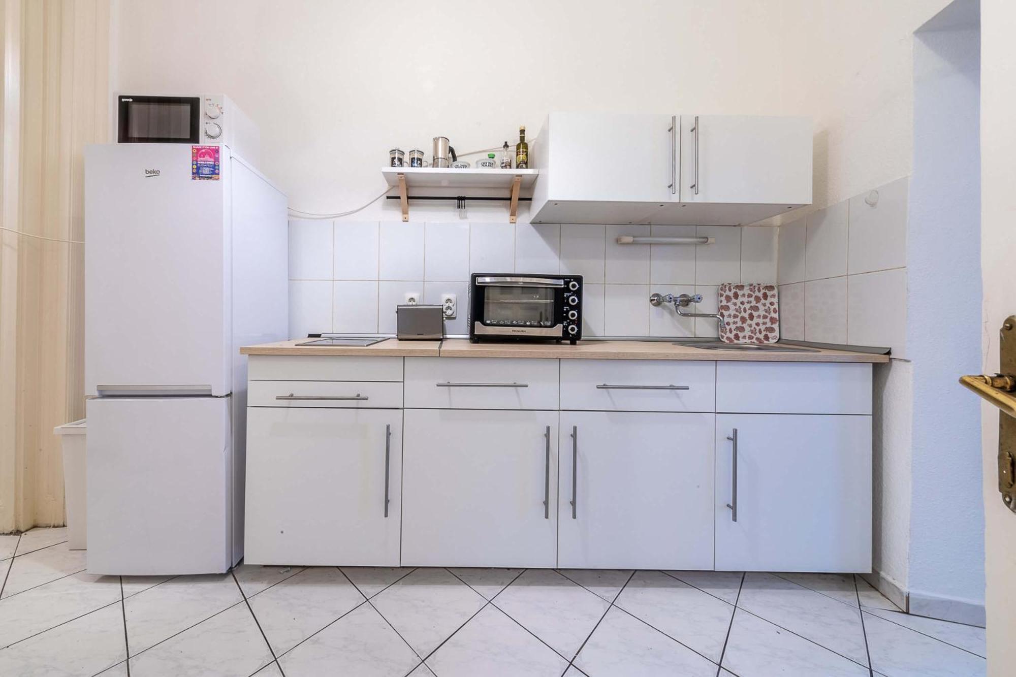Ergola - Spacious Cozy 2 Big Downtown Apartament