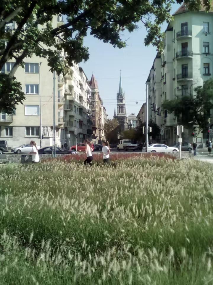 Spacious Base In The Center With Old Style Apartment Budapest