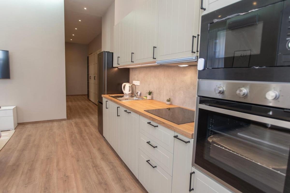 New And Spacious In Downtown Apartment