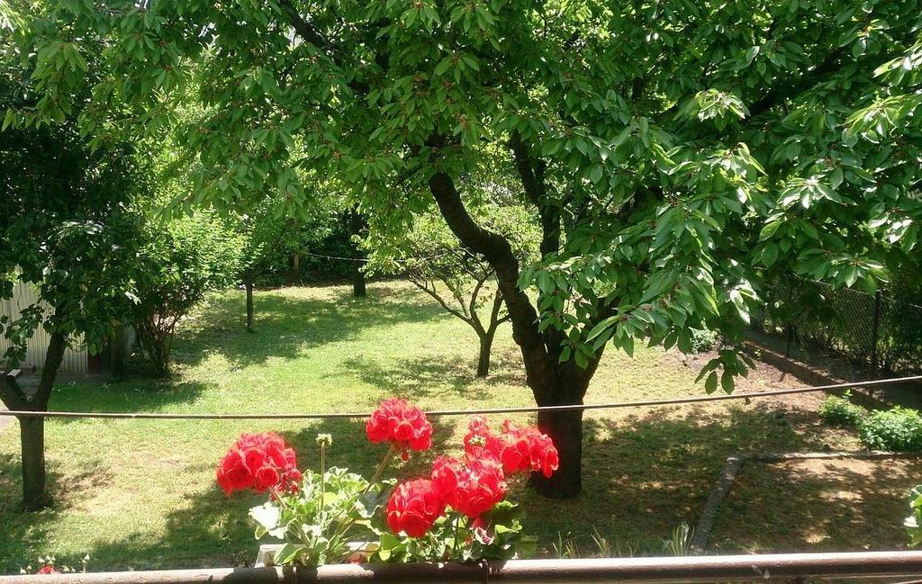 Ferienhaus Haus In Mit Garten Budapest