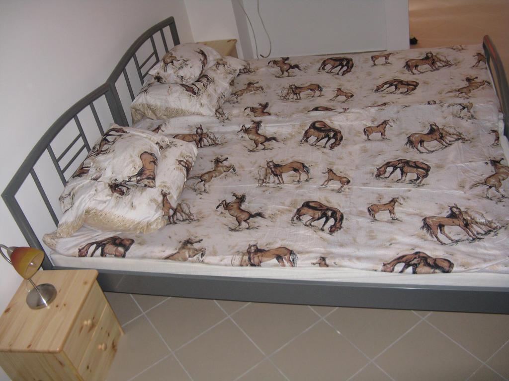 Karpati Pensjonat *