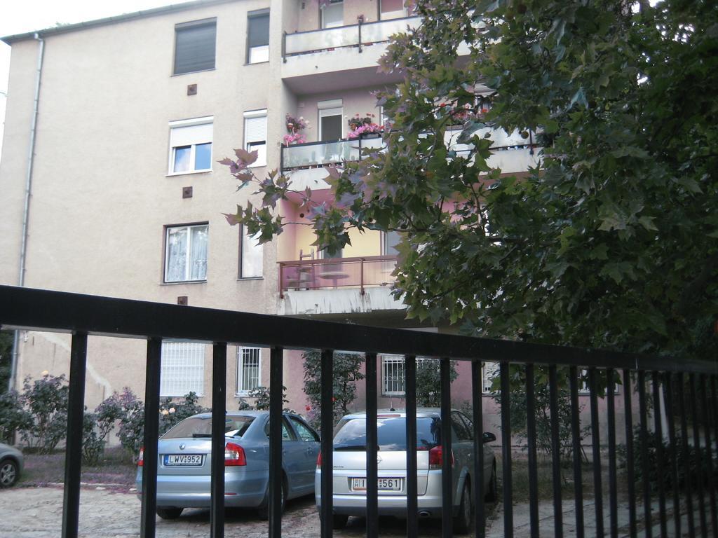 Platan * Budapest