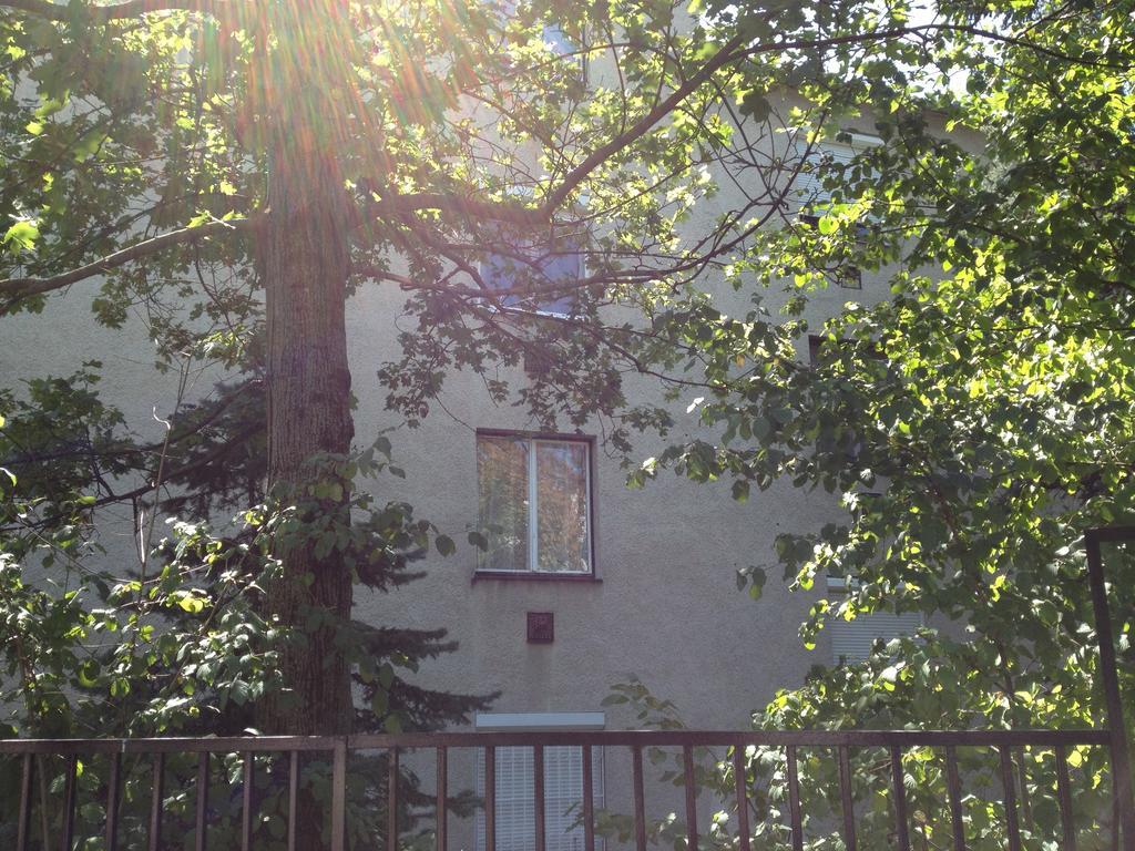 Lägenhet Platan Budapest