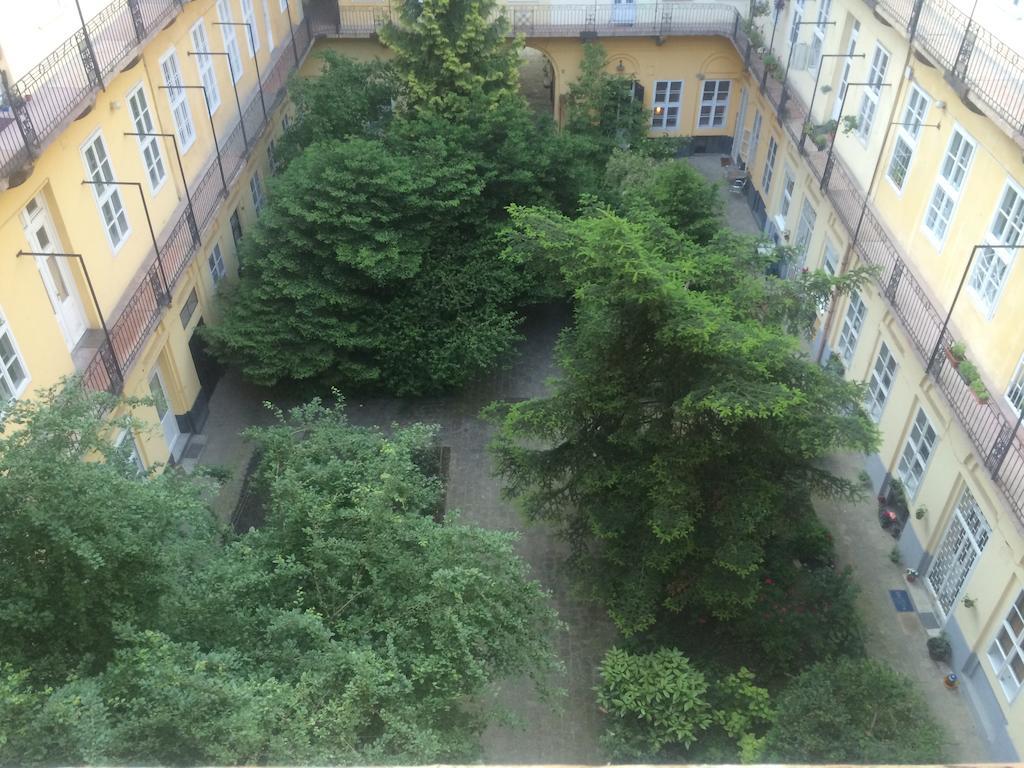 Judit Apartman *