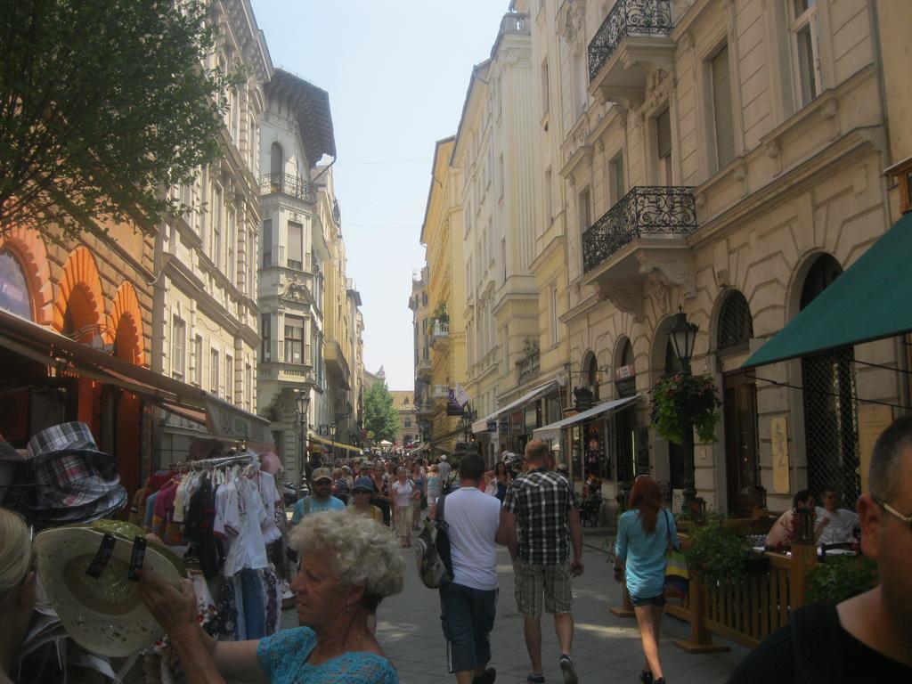 Classical In Downtown Appartamento