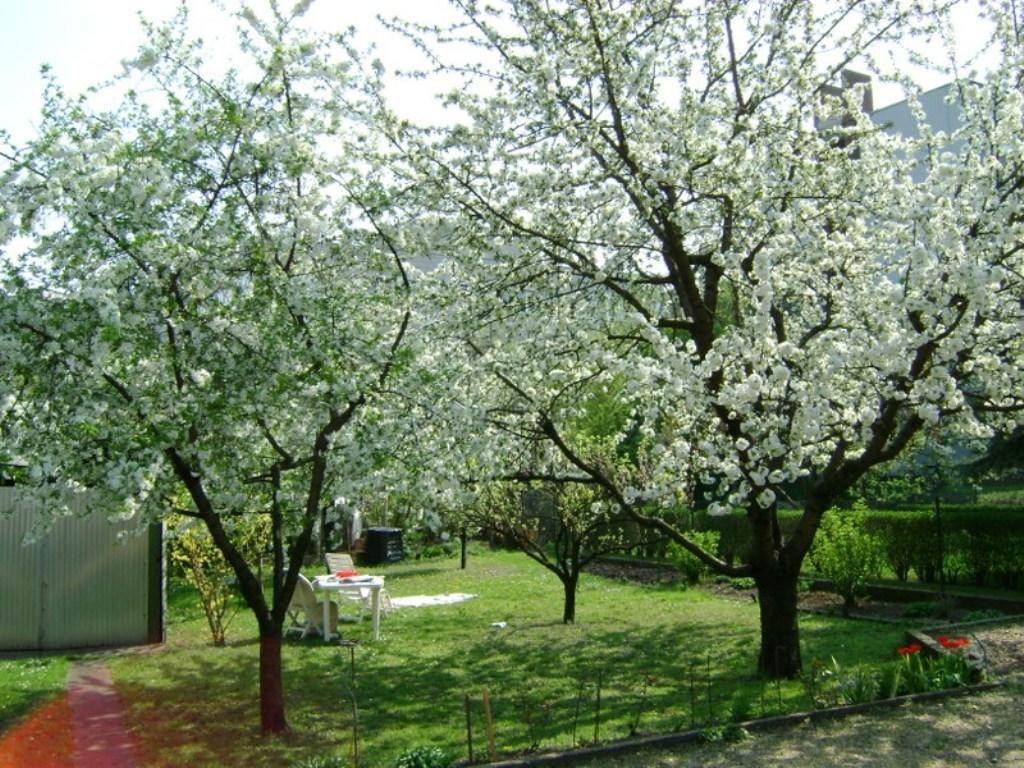 Haus In Mit Garten Budapest