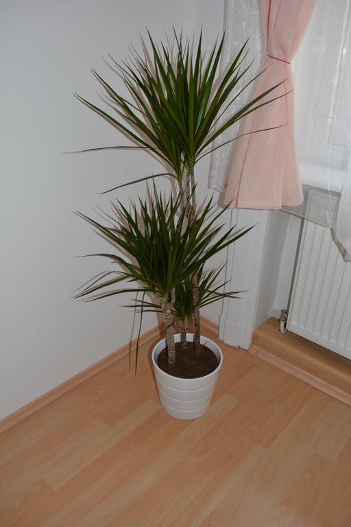 Erkel Apartman Boedapest