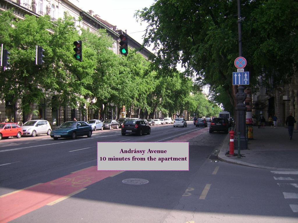 Downtown Apartament *