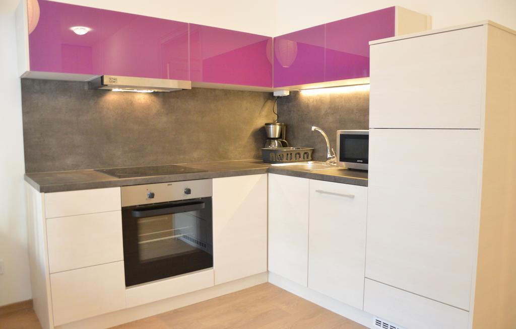 Two Bedroom At Bajcsy Apartment *