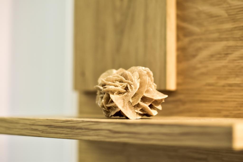The Iguana-wooden