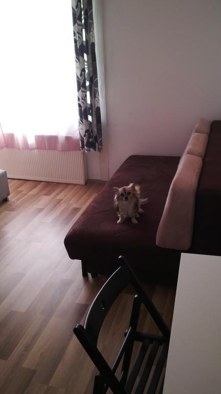 Downtown Apartament *