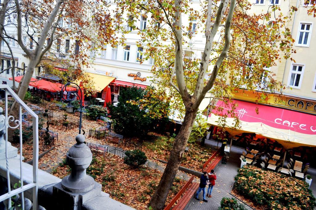 California Budapest