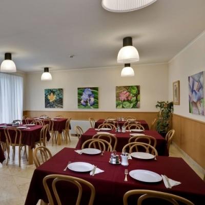 Hotel Jagello Business