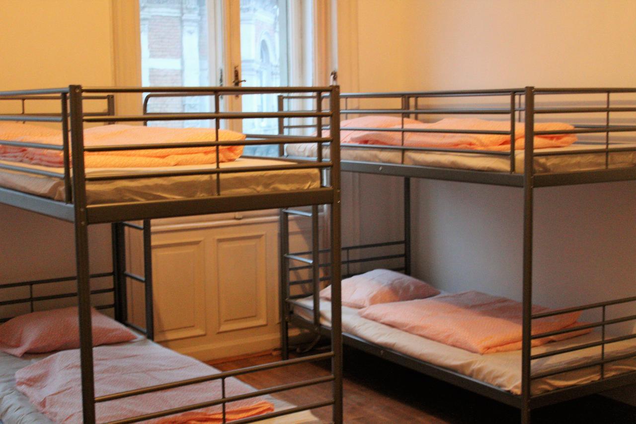 Black Dog Hostal *