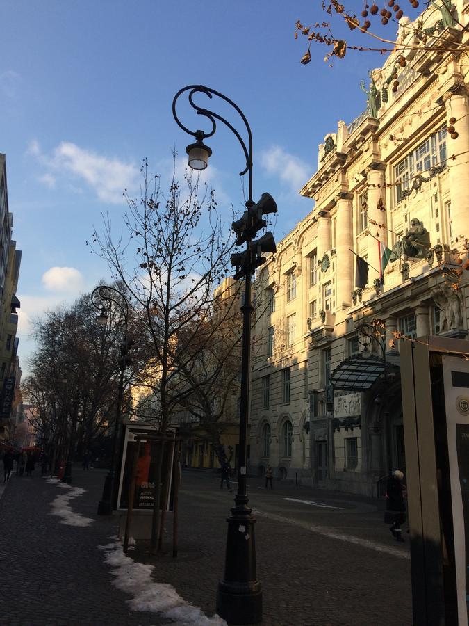 Black Dog * Budapest