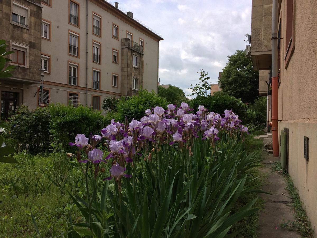 Irisz Apartman Apartment