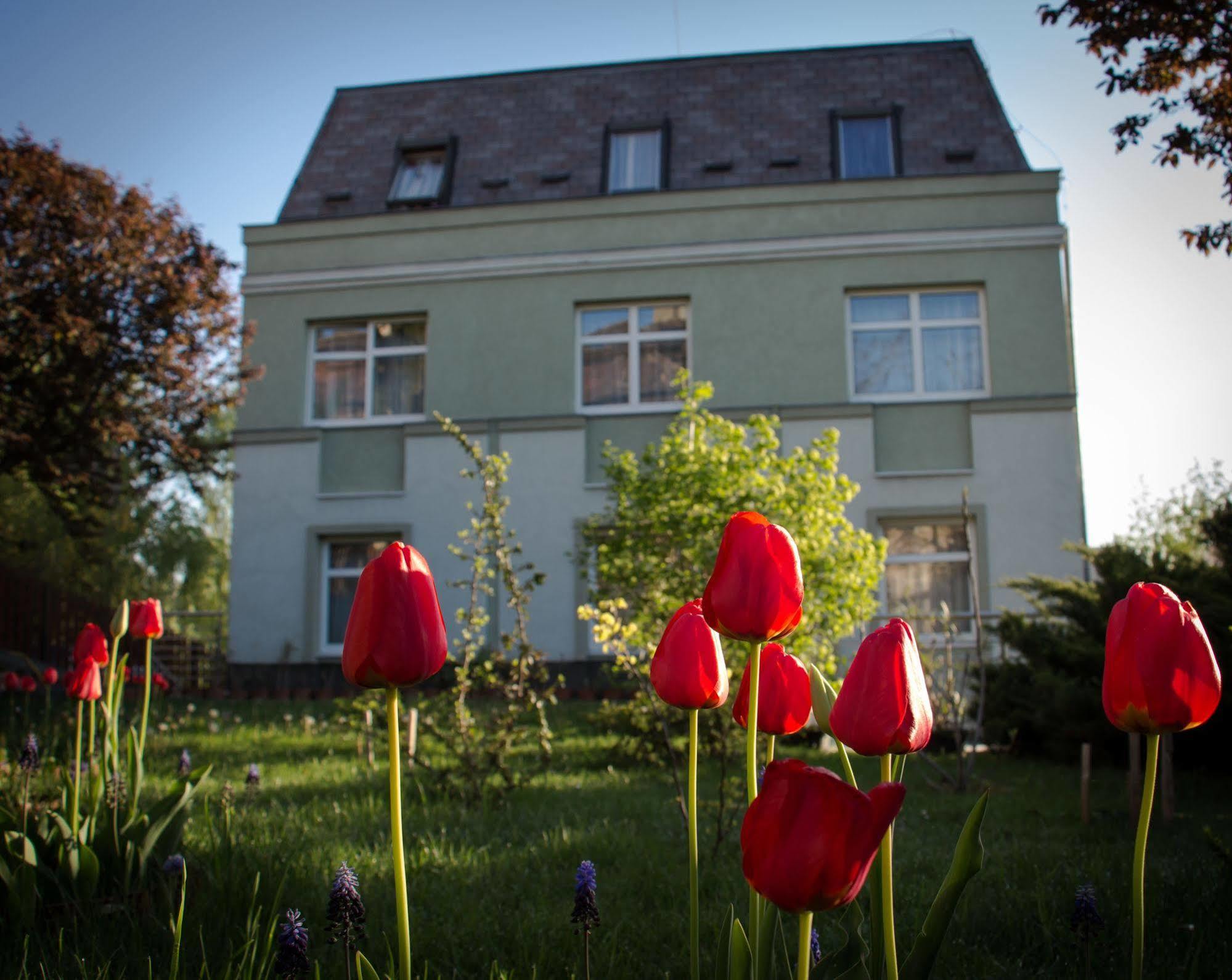 Hotel Jagello Business 3*