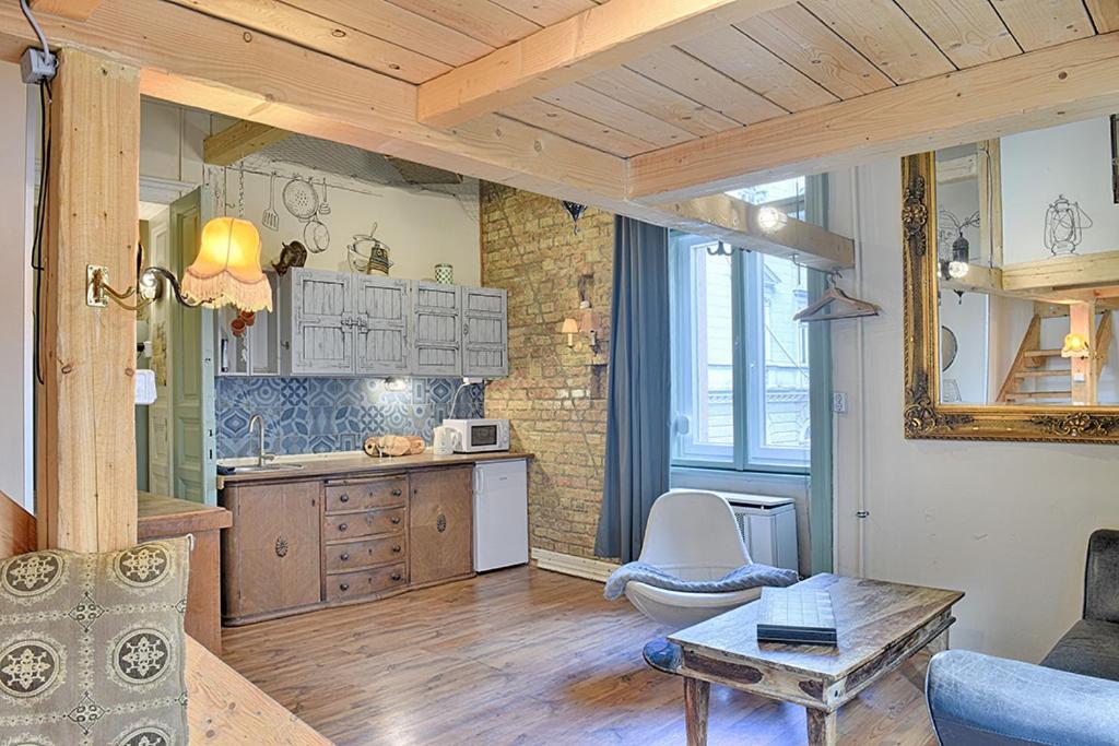 Lavender Circus Hand Drawn Apartments Apartment Budapest