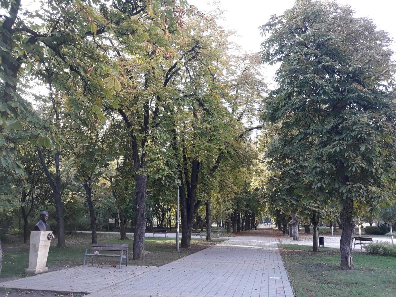 Liget Apartman Apartmán