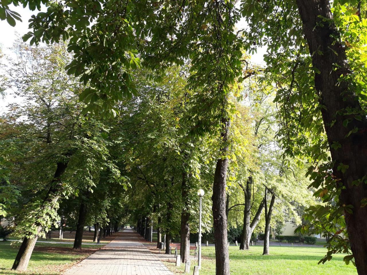 Liget Apartman Apartmán Budapešť