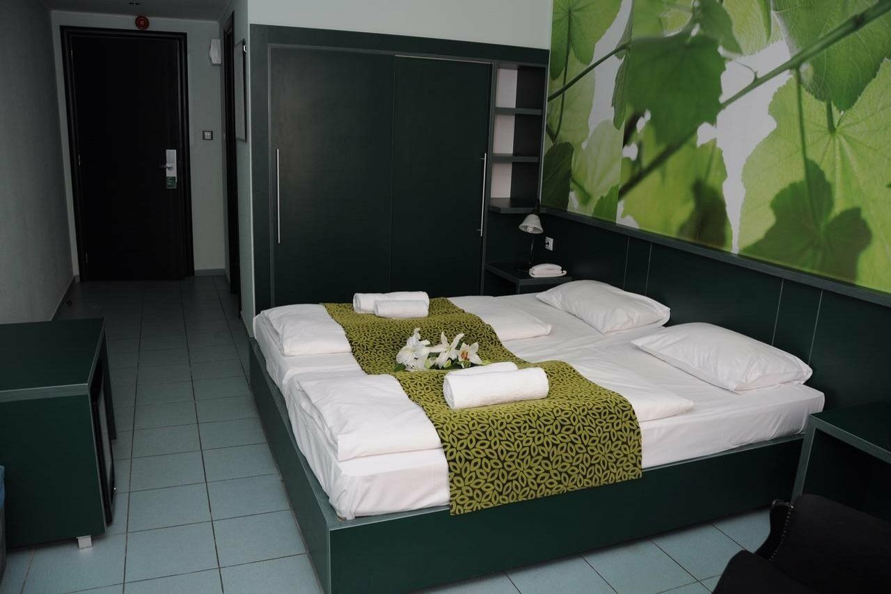Hotel Green Hotel Budapest 4*
