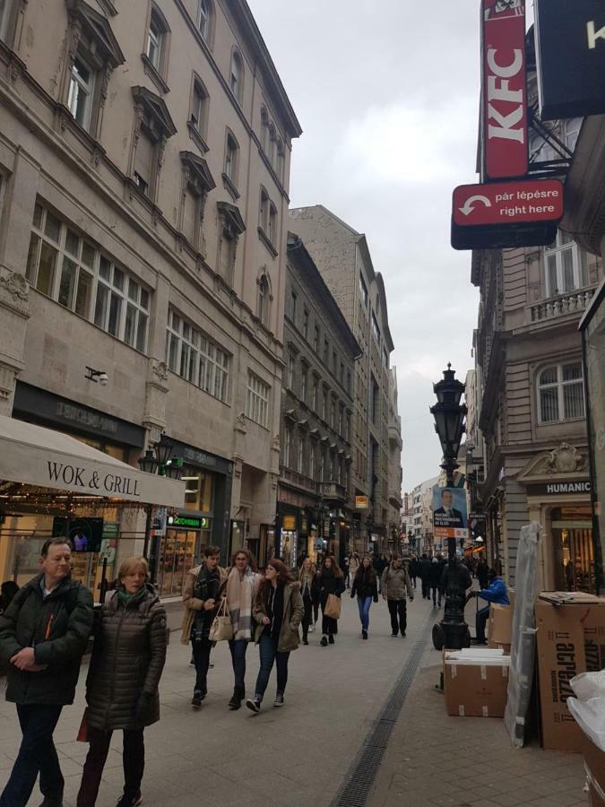 Choosy Flat Budapest