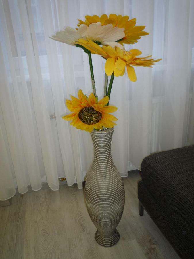 Apartamento Downtown Dreams *