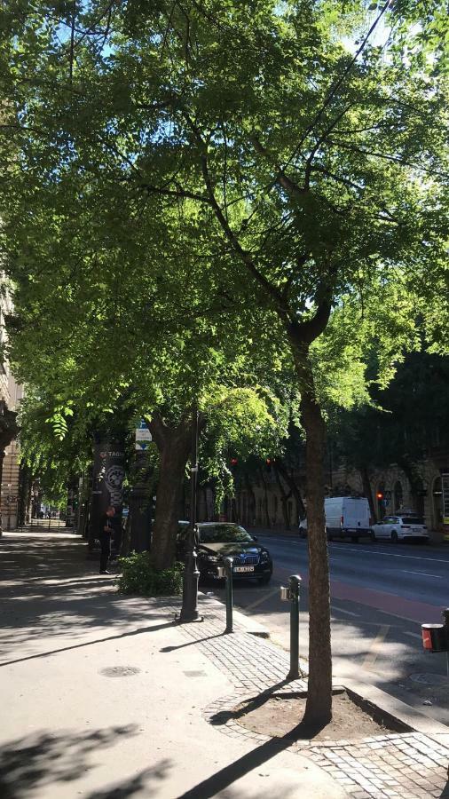 Apartamento Diamond Near To Basilica *