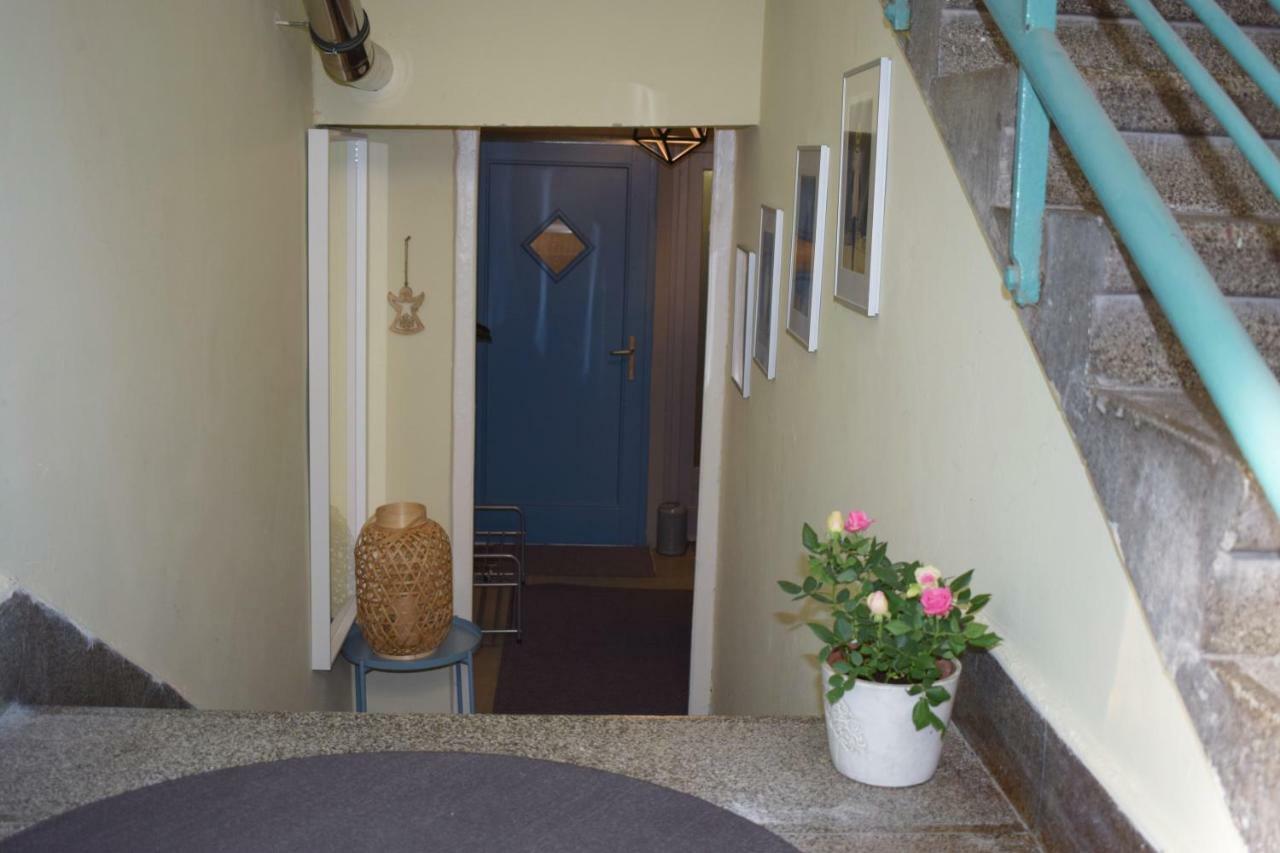 Gellert Hill Apartment