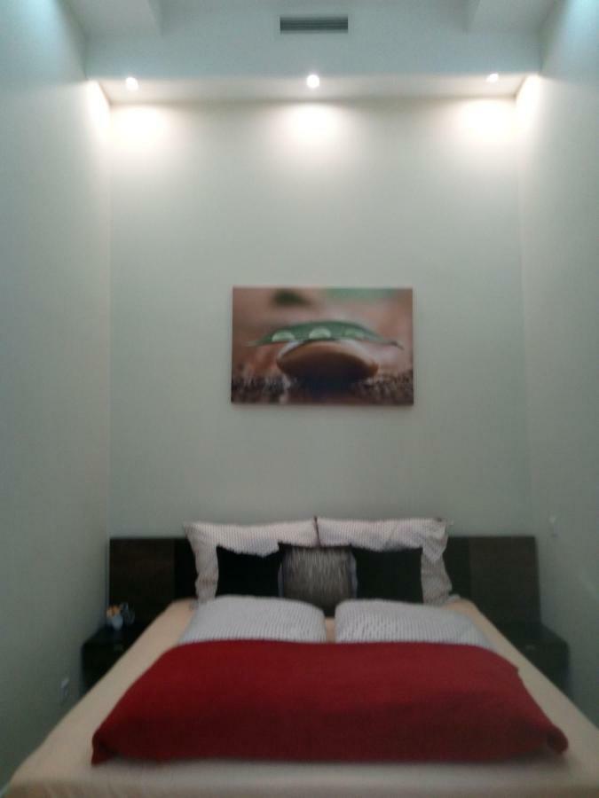 Red Passion Deluxe At Gozsdu Apartment *