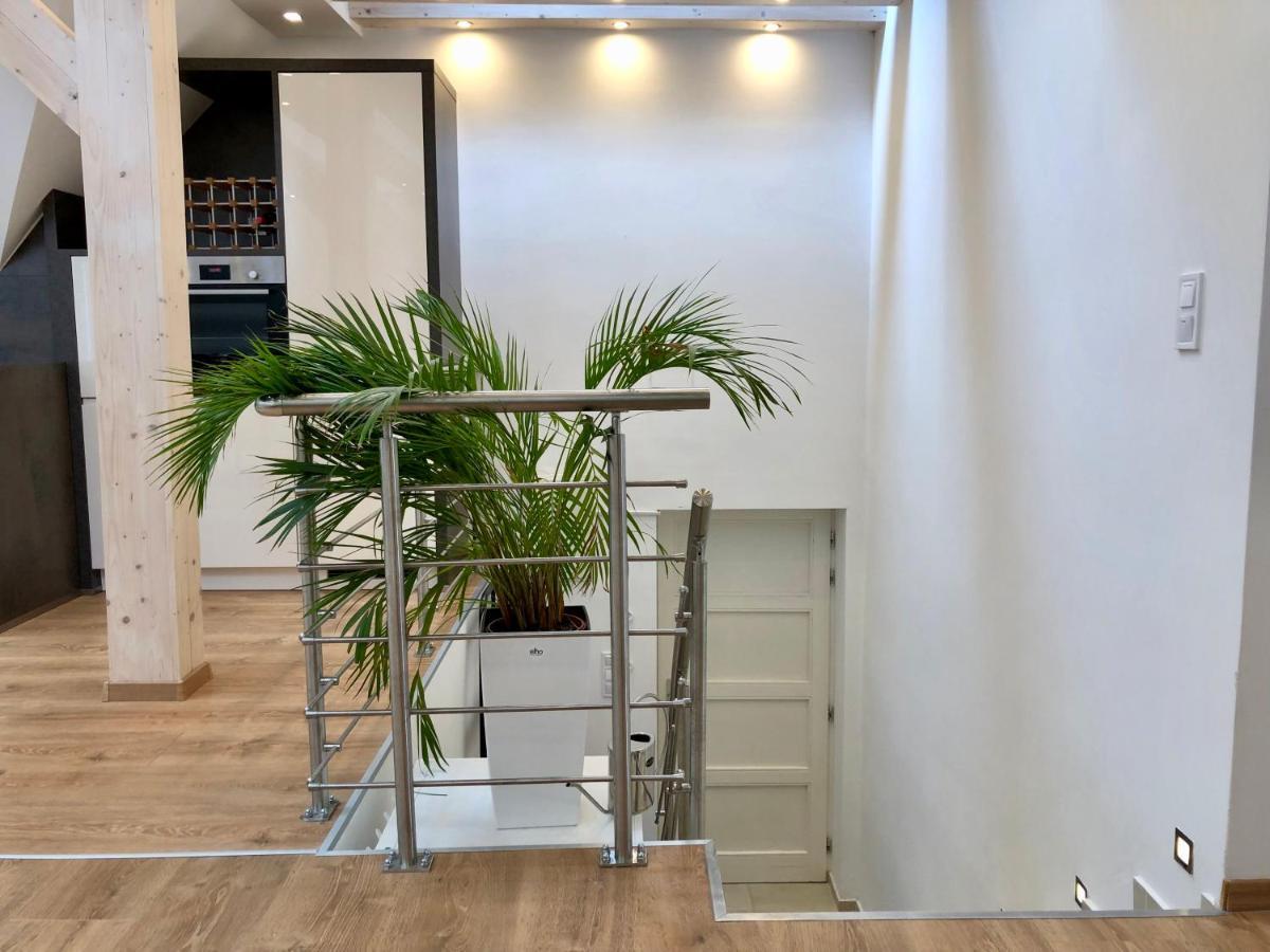 Buda Valley: With Garden Appartamento Budapest
