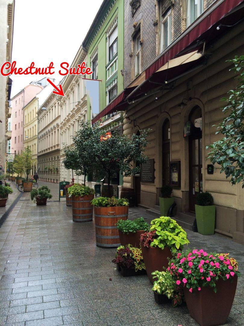 Chestnut & Eliza Apartamento Budapest