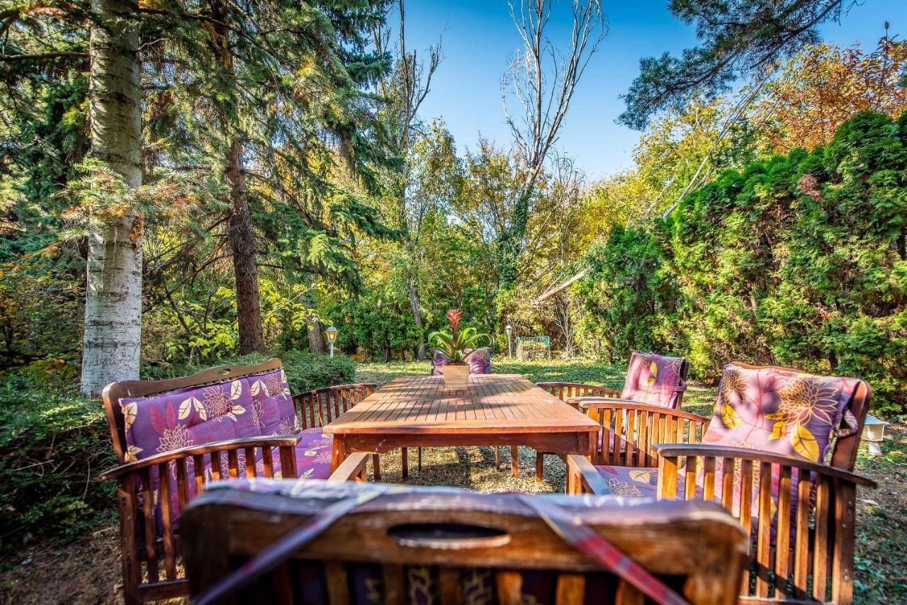 Bed & Breakfast Korona Panzio 3*