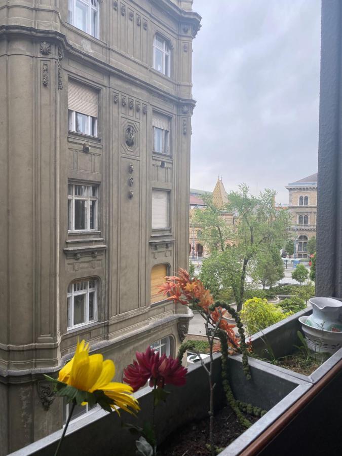 Bed & Breakfast Butterfly Danube 3*
