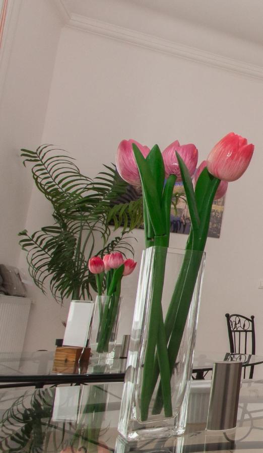 Bed & Breakfast Butterfly Danube