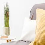 Comfy, Renewed 3 Bedroom Apt In Center