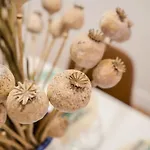 Roomli Boho Chic Apartments