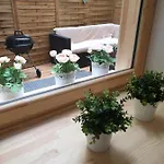 Private Interior Terrace Near New York Cafe