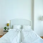 Huge Apartment In The City Center