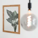 Maison De Fashion Apartment
