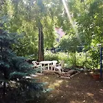 Downtown Buda Homes Relax
