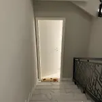 Downtown Core Apartments