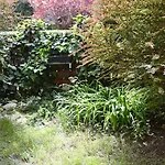 Ilka Garden