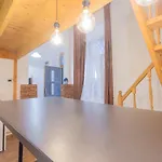 Weiner Cozy Apartment