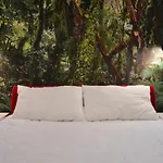 Lion\'S Den Deluxe Studio
