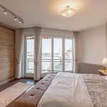 Luxury Residence With A Beautiful View For The Danube River