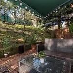 Szabi Buda New Terrace