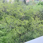 Roland Apartment - Puskas